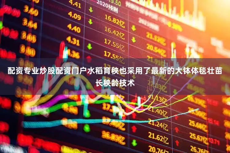 配资专业炒股配资门户水稻育秧也采用了最新的大钵体毯壮苗长秧龄技术