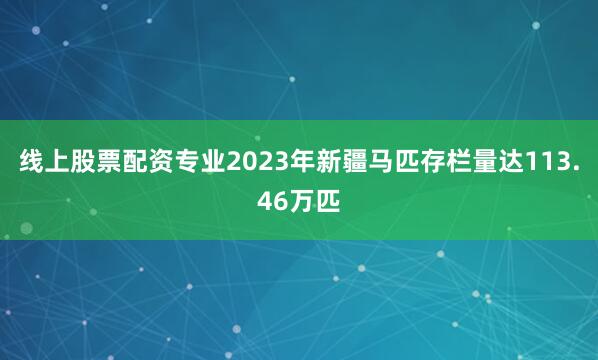 线上股票配资专业2023年新疆马匹存栏量达113.46万匹