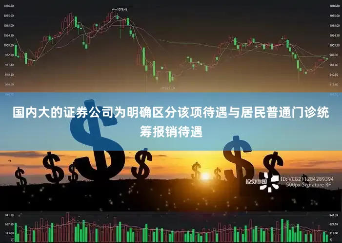 国内大的证券公司为明确区分该项待遇与居民普通门诊统筹报销待遇